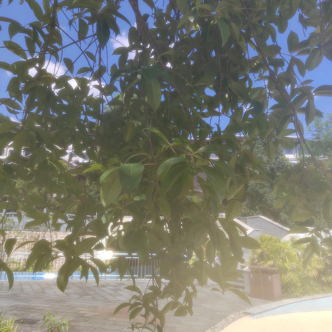 喜欢独处的人！