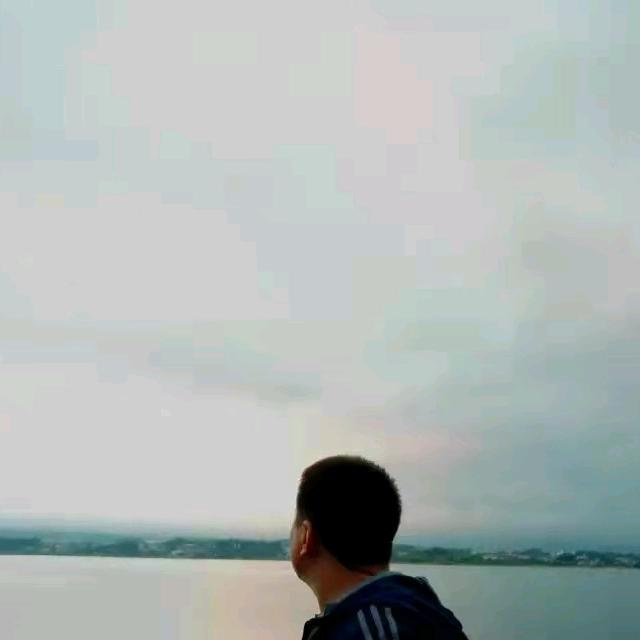 老Ho