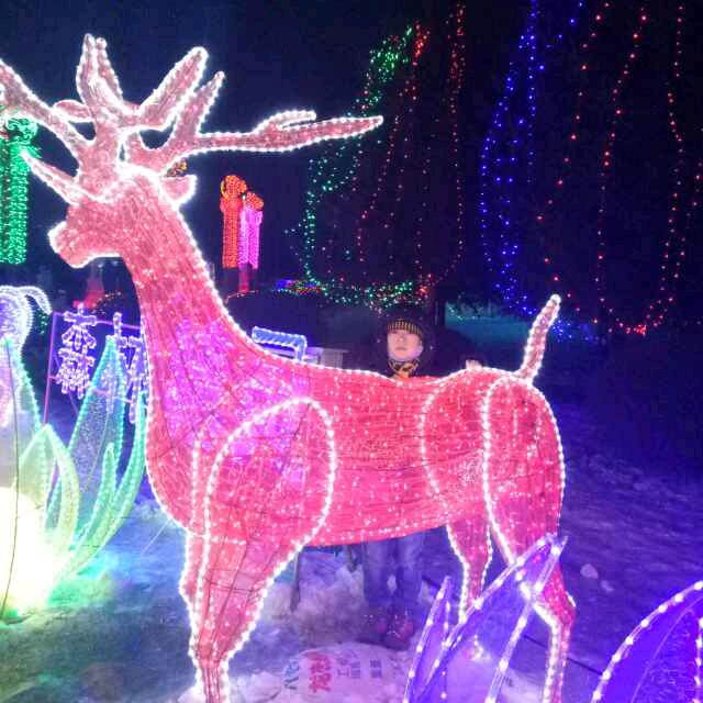 长春陪诊师王贺