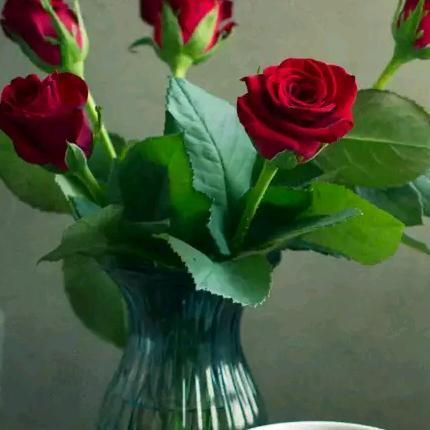 杨(๑•॒̀ ູ॒•