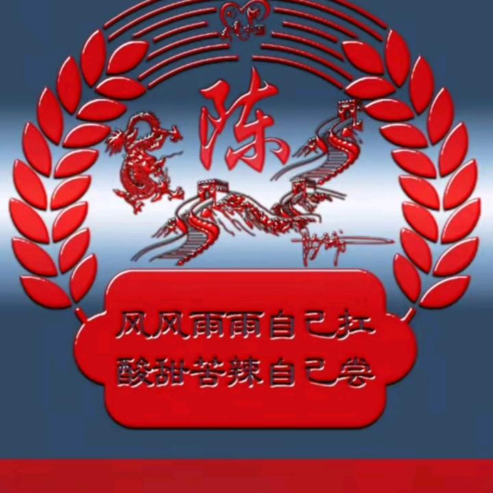 自游飞翔