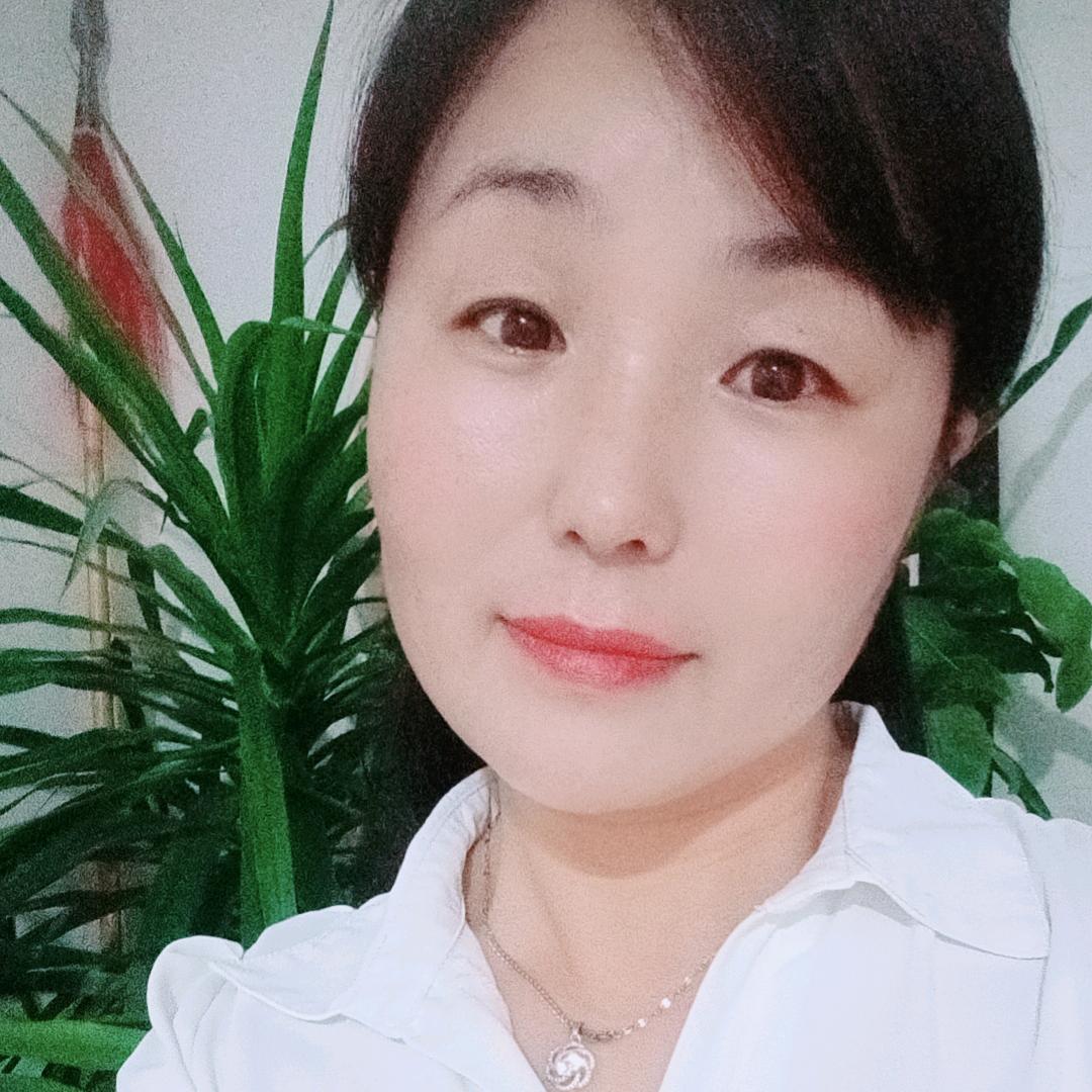 诺春暖鑫兰炭锅炉