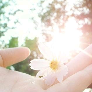 🌈@岁月静好🎊🎊