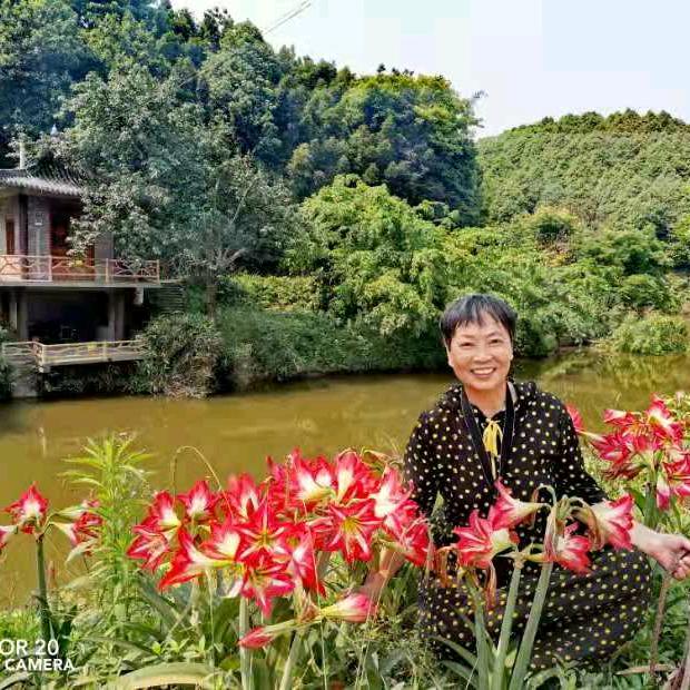 徐宗环头像
