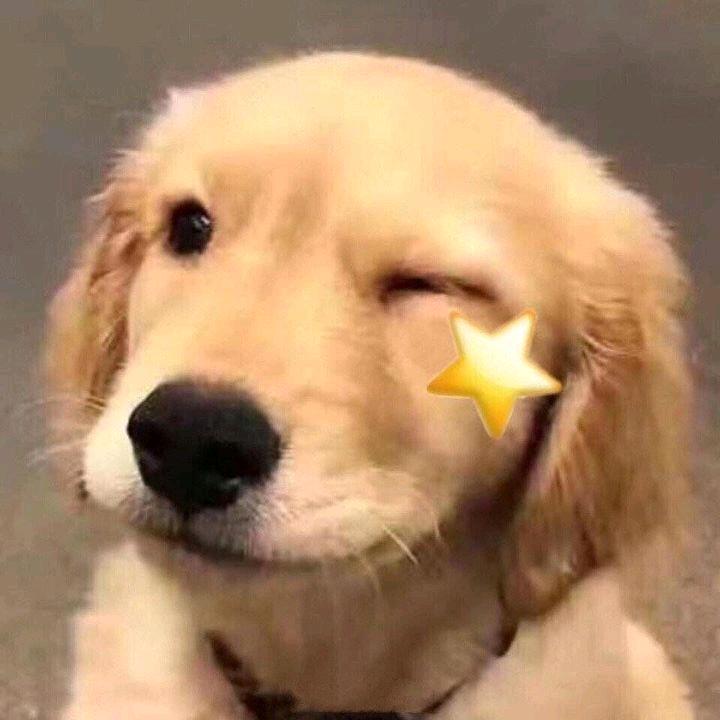 小心哦