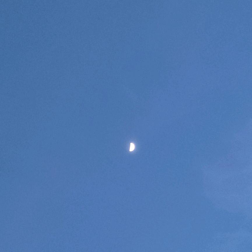 今天七七读什么