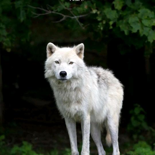 ༺༃俗༒人༃༻