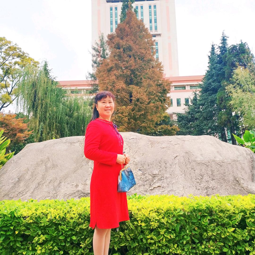 淑女
