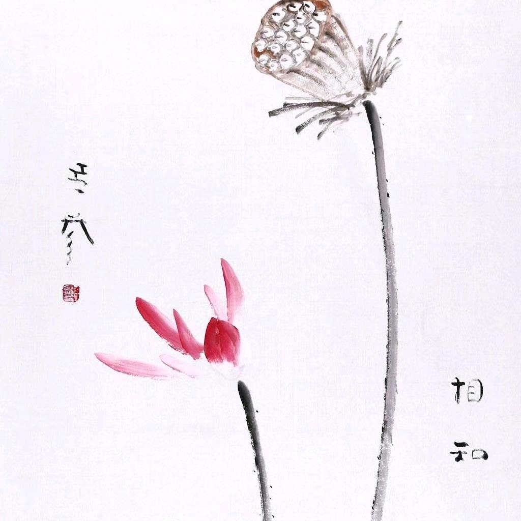 清凉水月