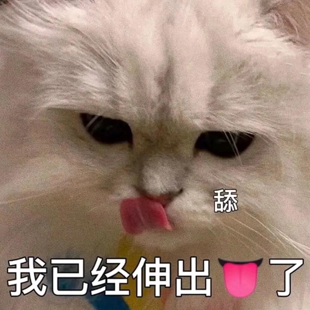 爆炸可爱绝美聪明包包