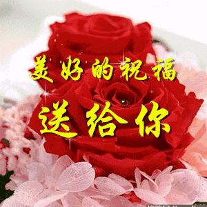 神的小羊