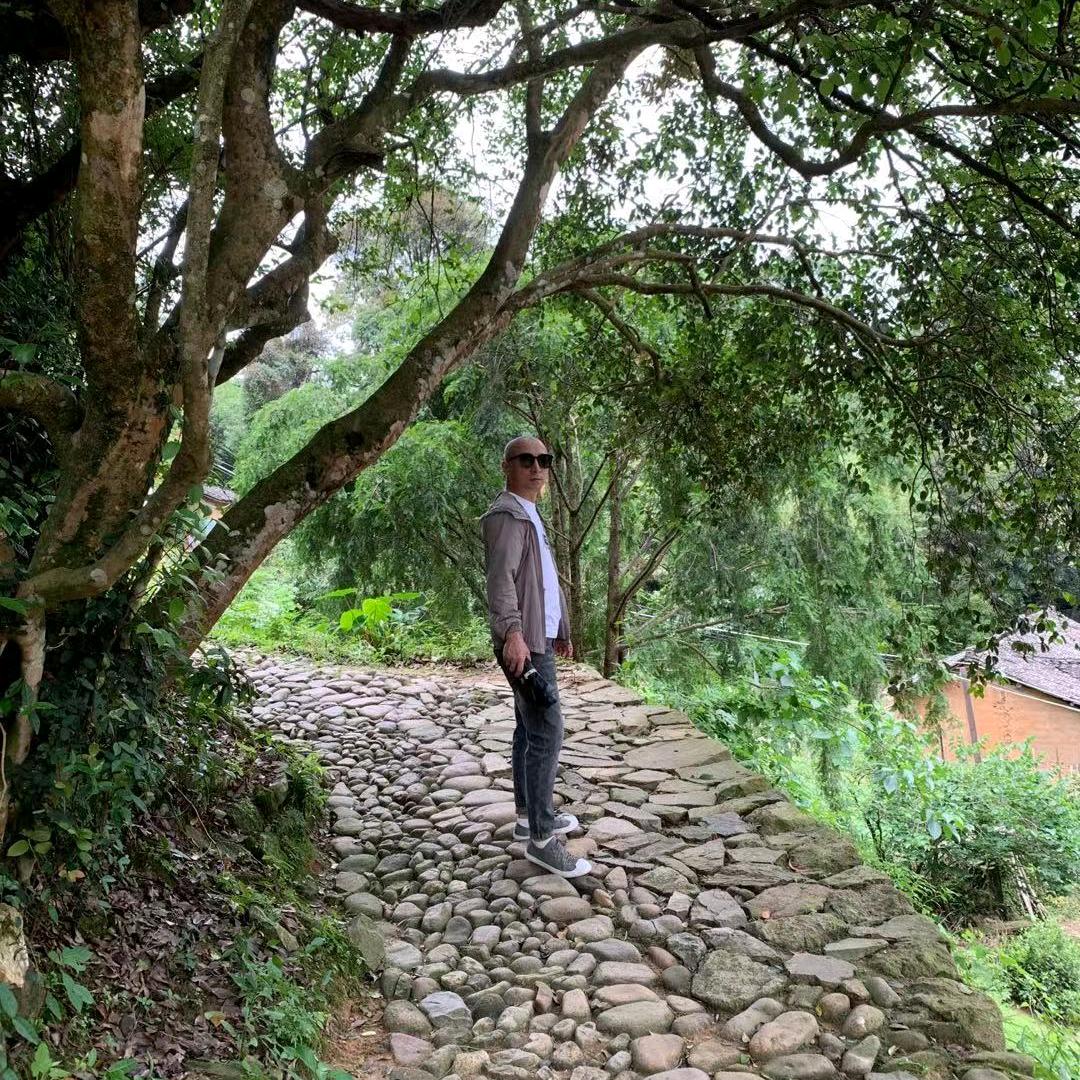 尽心逐光，顺意而行