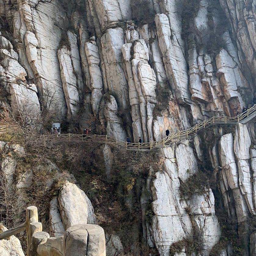 遗失的美好