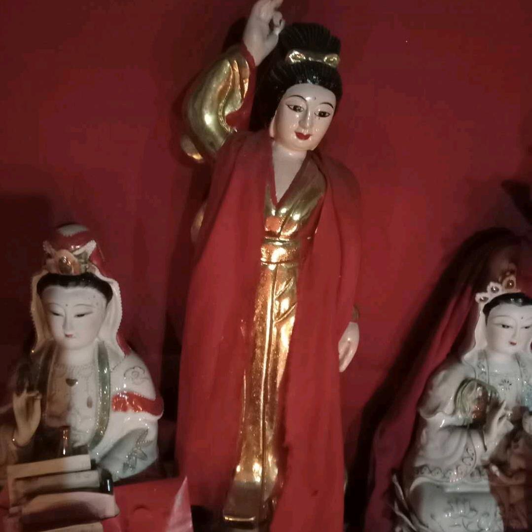 七仙女♥
