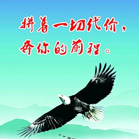 胡哥