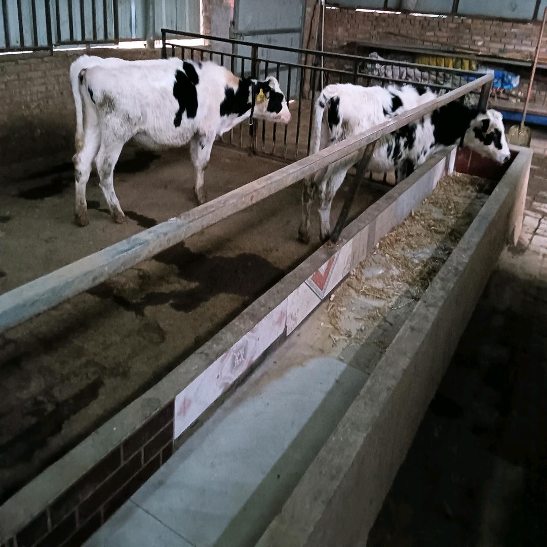 知足常乐,善待人生。