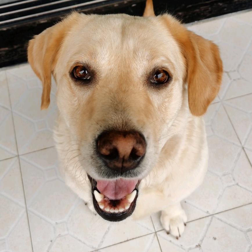 @𝑺 𝒆 𝒗 𝒆 𝒏