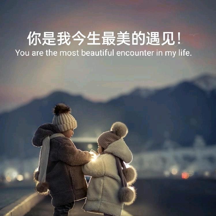 ^0^芳心纵火犯^0^