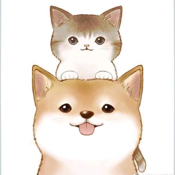 追🤝梦