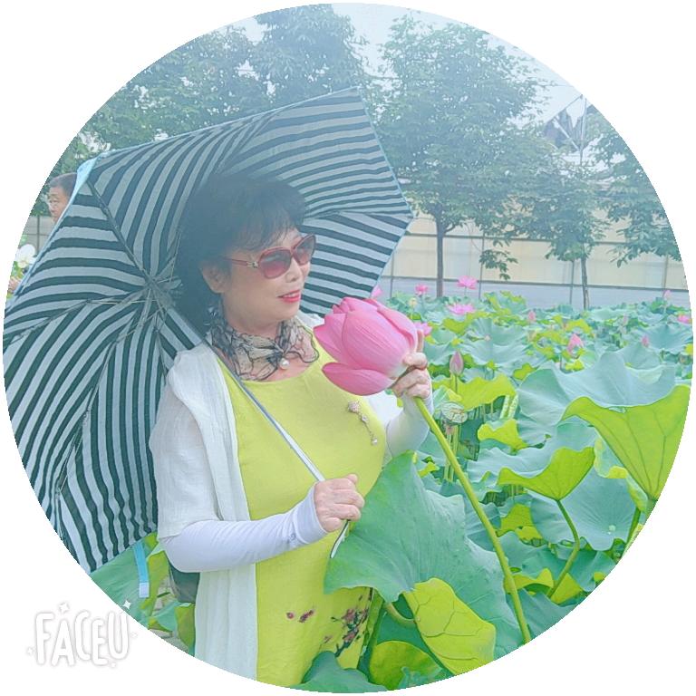 🌹🌺晓丽（标拍）