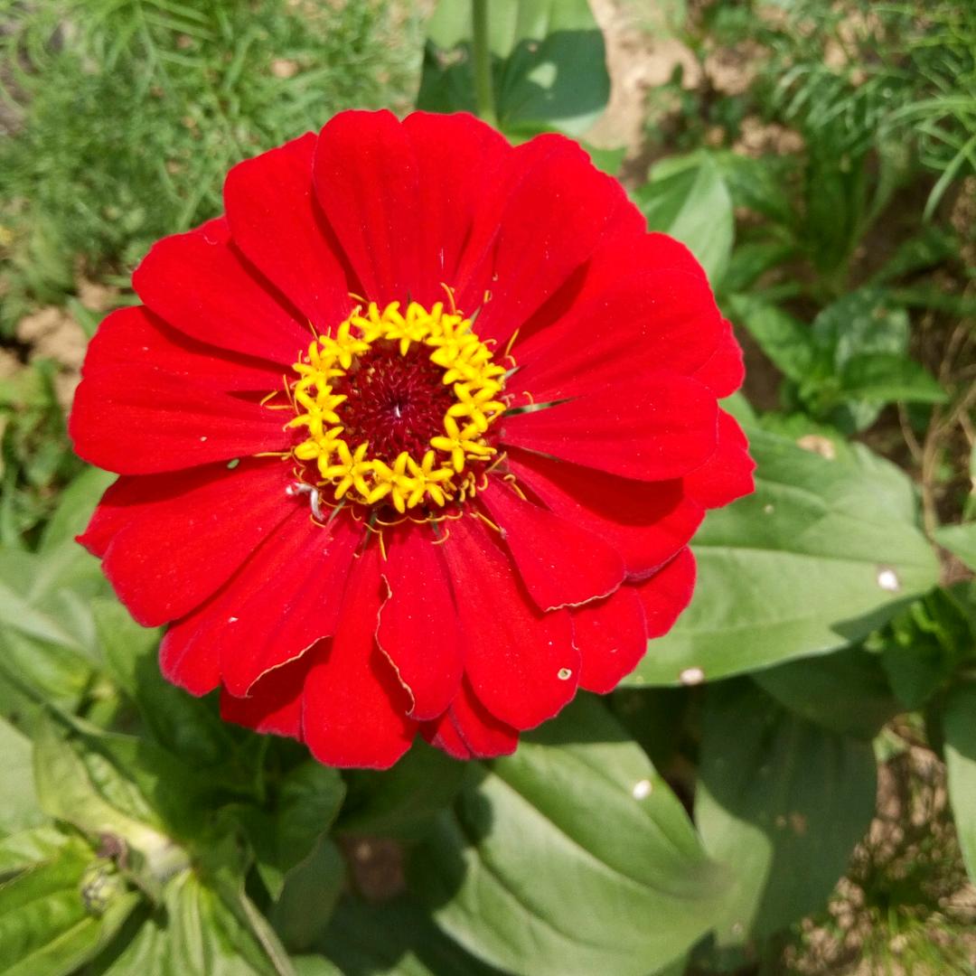 美美🎤不定时开播