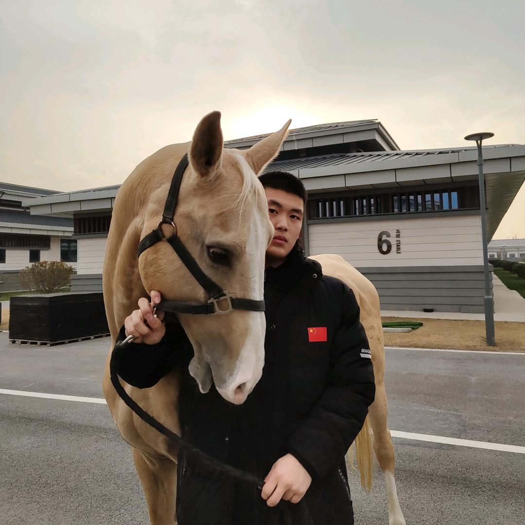 骑警🐴 *  辉