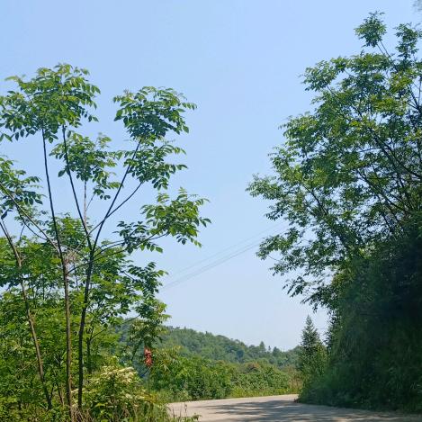 秋天的风。