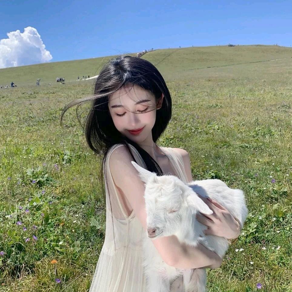 美洋洋