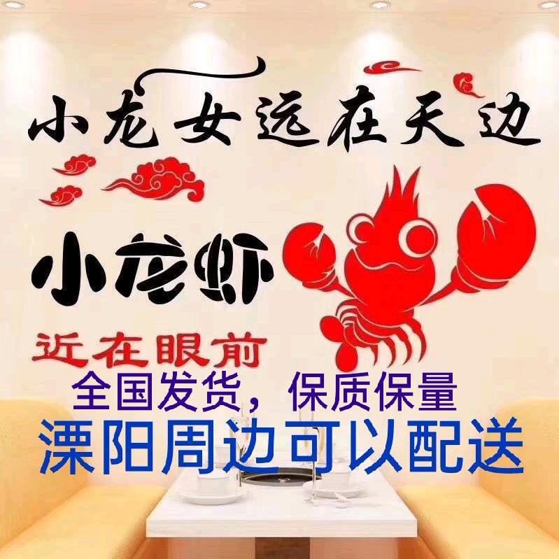 溧阳王涛精品龙虾批发