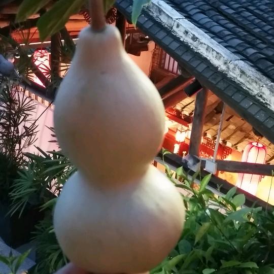 🦌零一°᭄岁穗儿࿐⋆