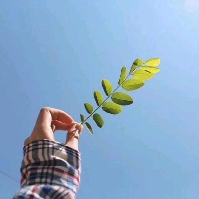 阿美百货(商品在商品橱窗)