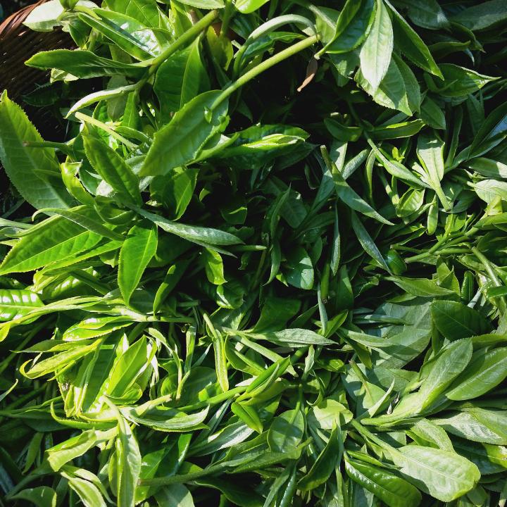 爱我的人一个就够