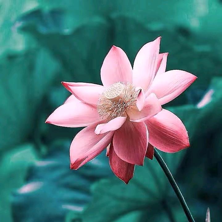 清晨的阳光徐