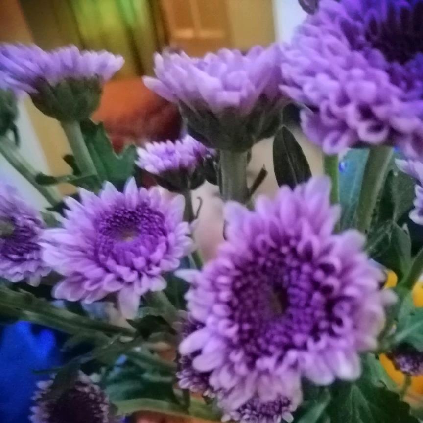 一直都是这样的