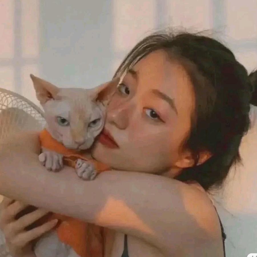 和安