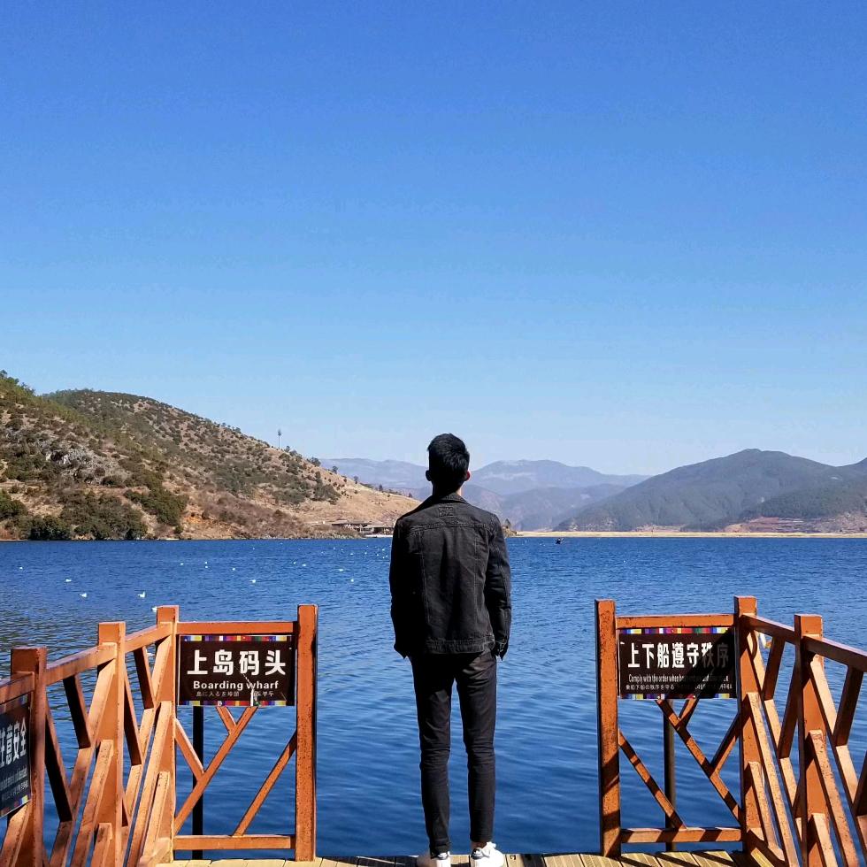 又卷又菜卷心菜