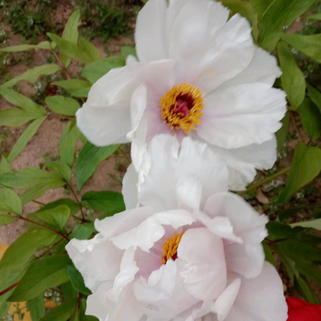 平安就是福