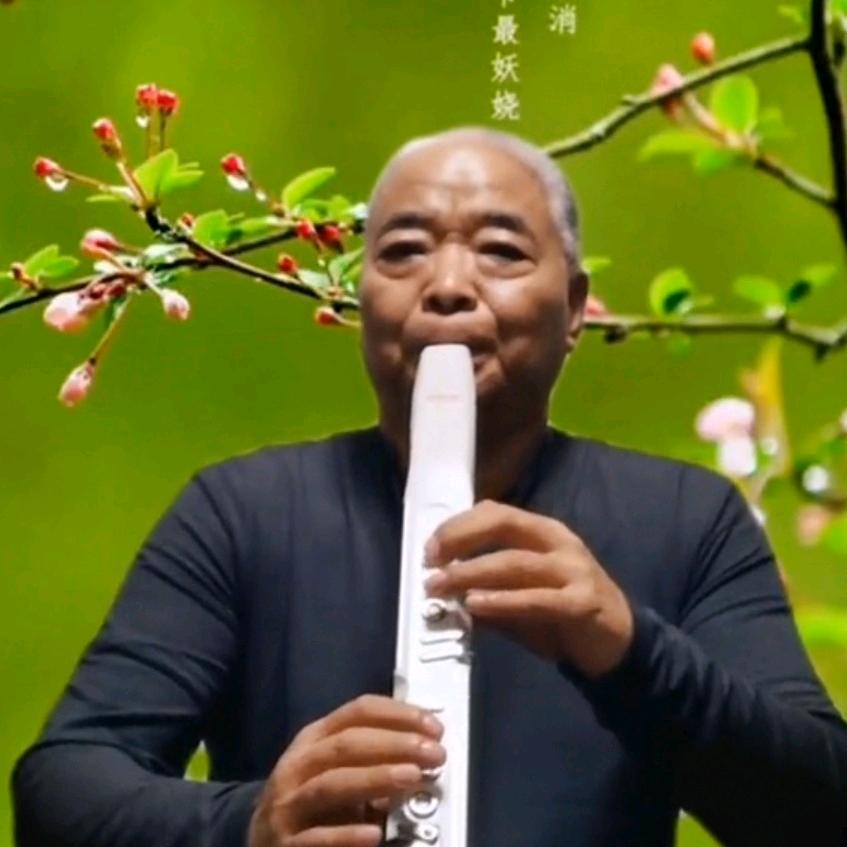 电吹管一片云