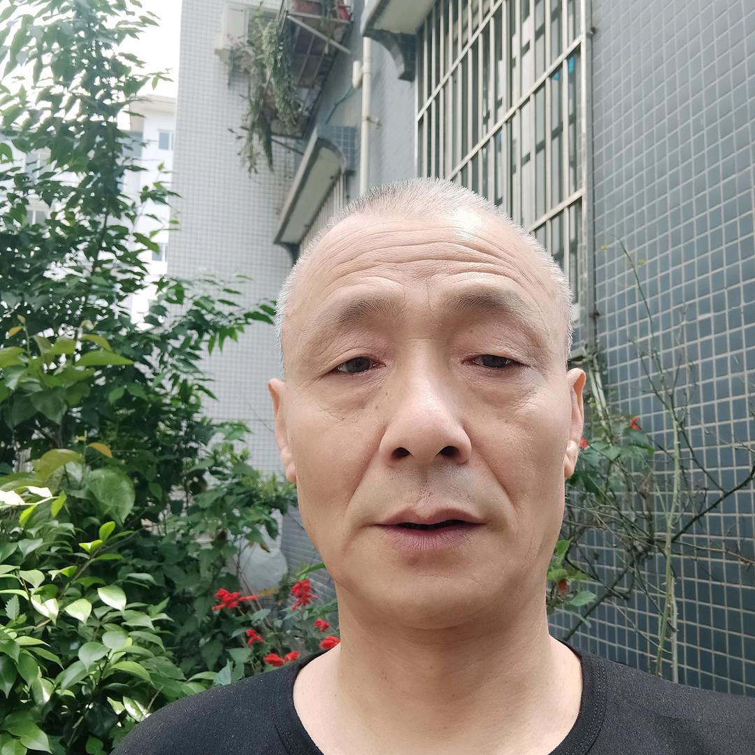 快乐单身汉