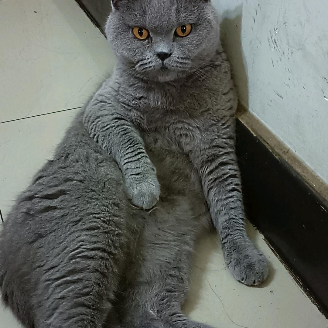 相思风雨中头像