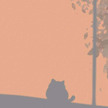 黑猫新闻爱花茶
