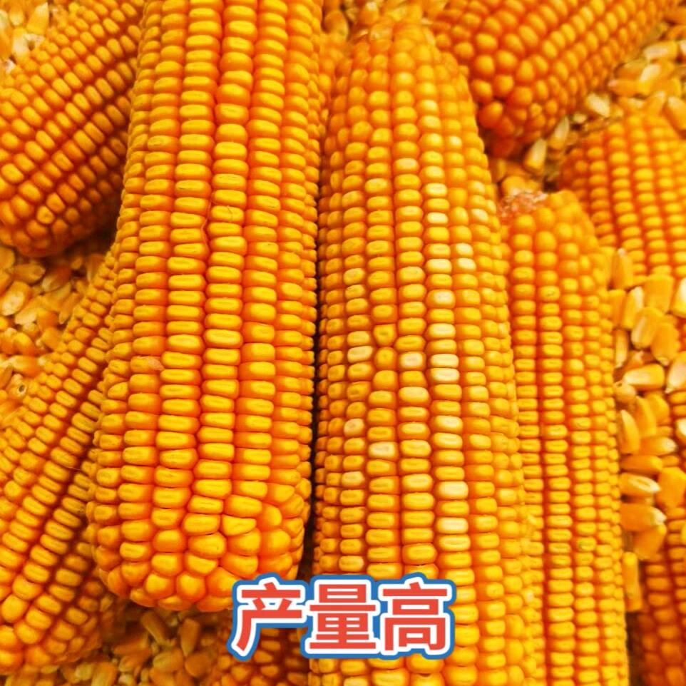 这不ok了吗