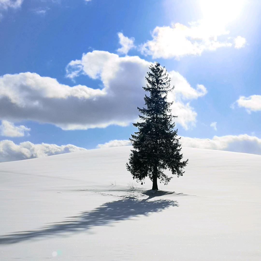 九牧金林❄️