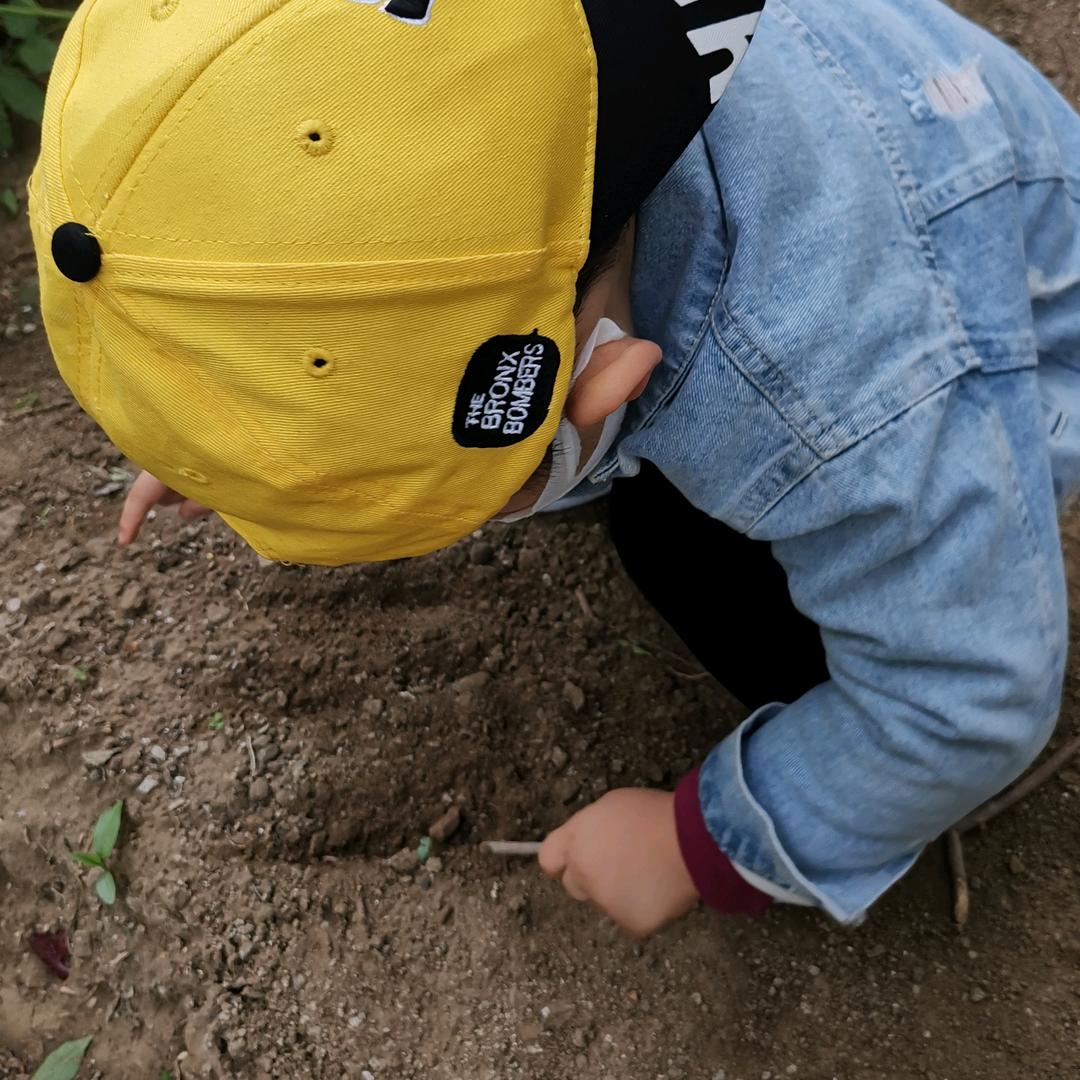 🌻l. m.