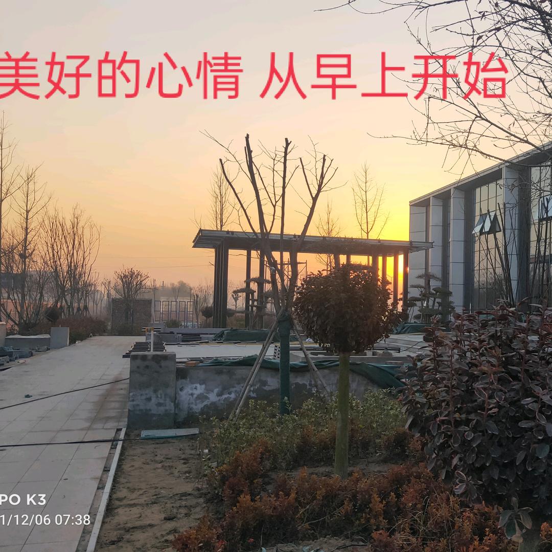 俊马奔腾