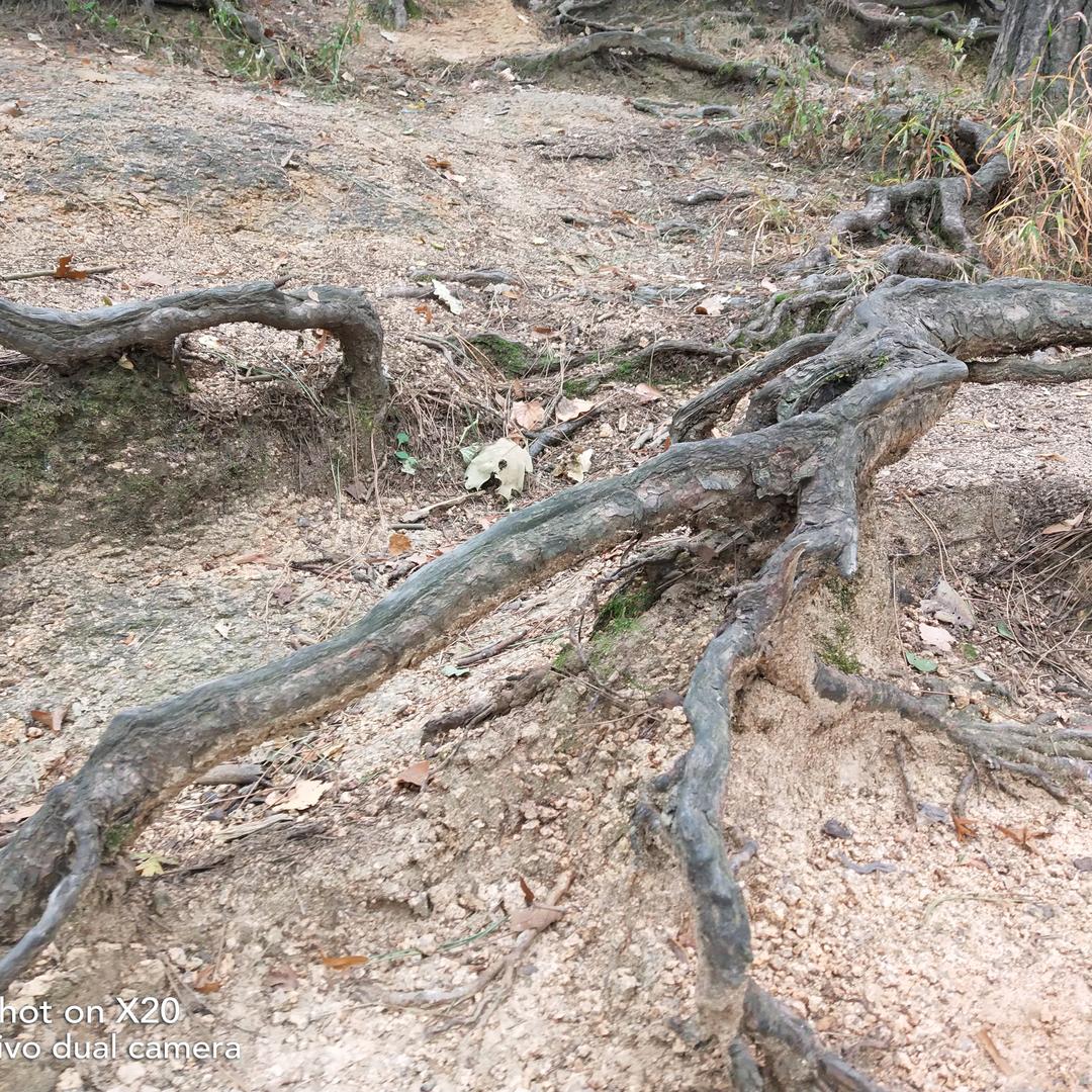 8234479886543🐶🐶