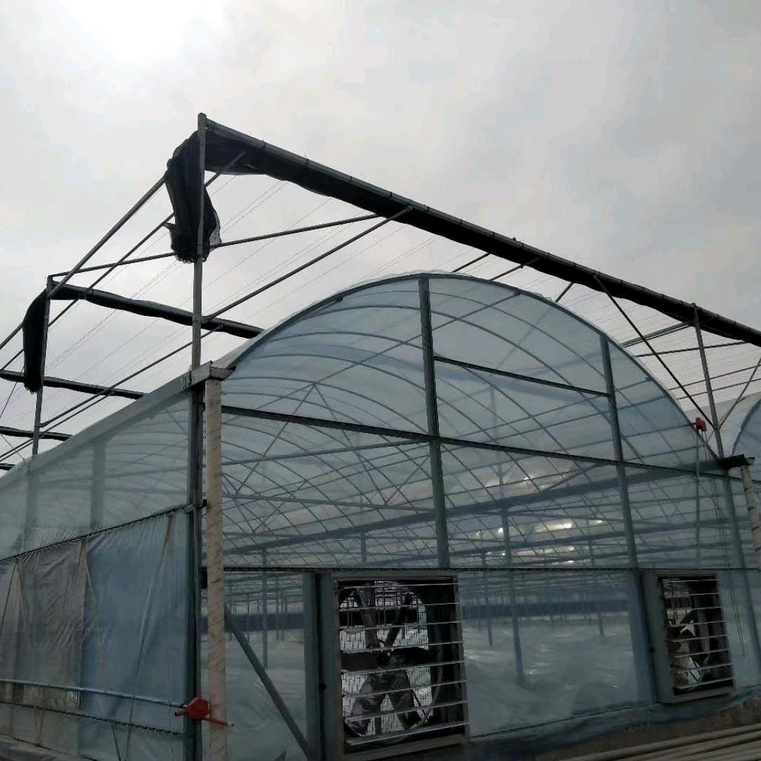 君锐钢铁-大棚管厂家