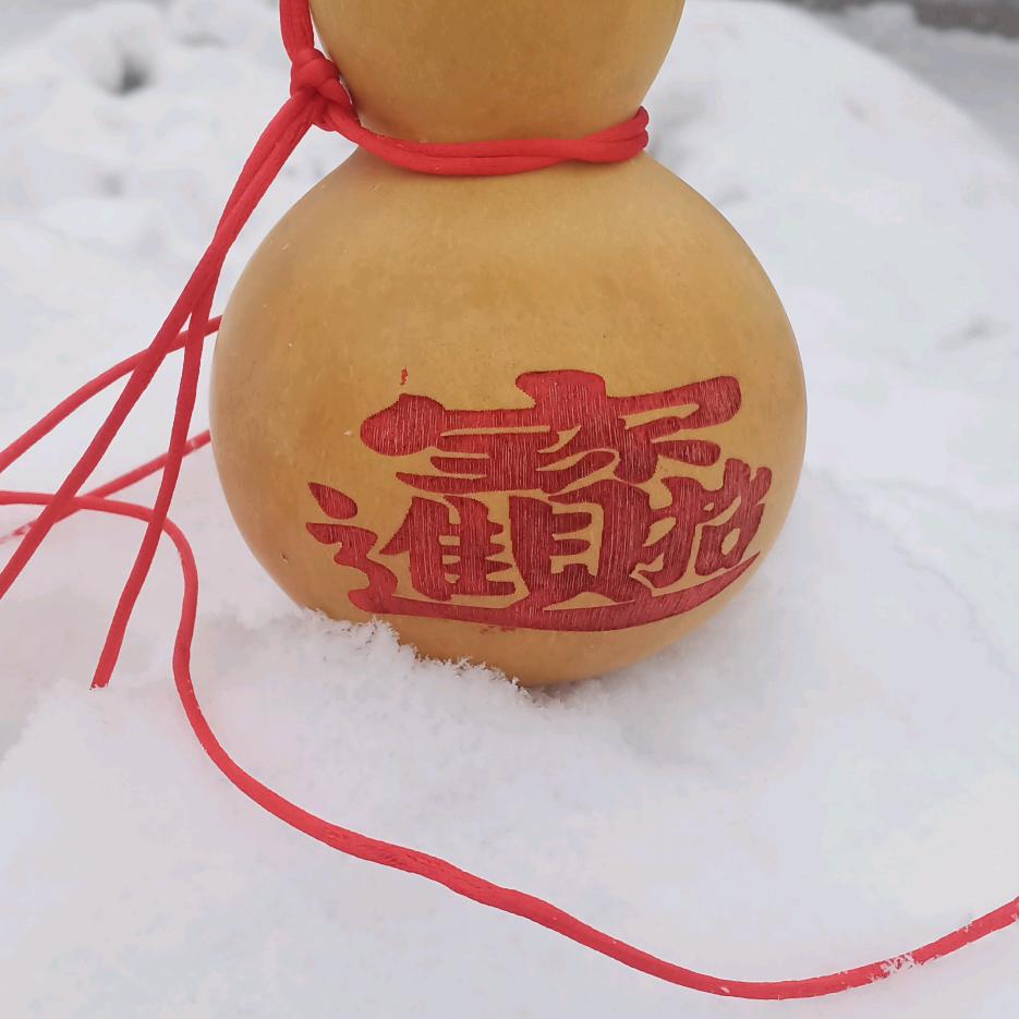 向阳而生