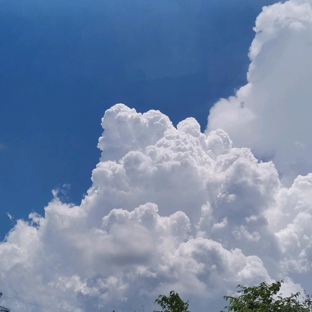 多多魚🐠🐠🐠