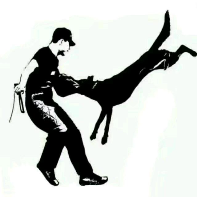 警犬训育者